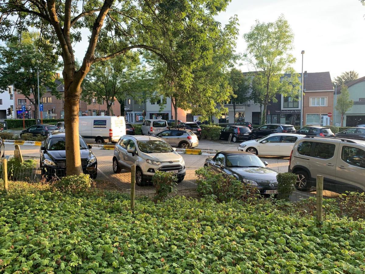 Ferienwohnung Okapi Halle  Exterior foto