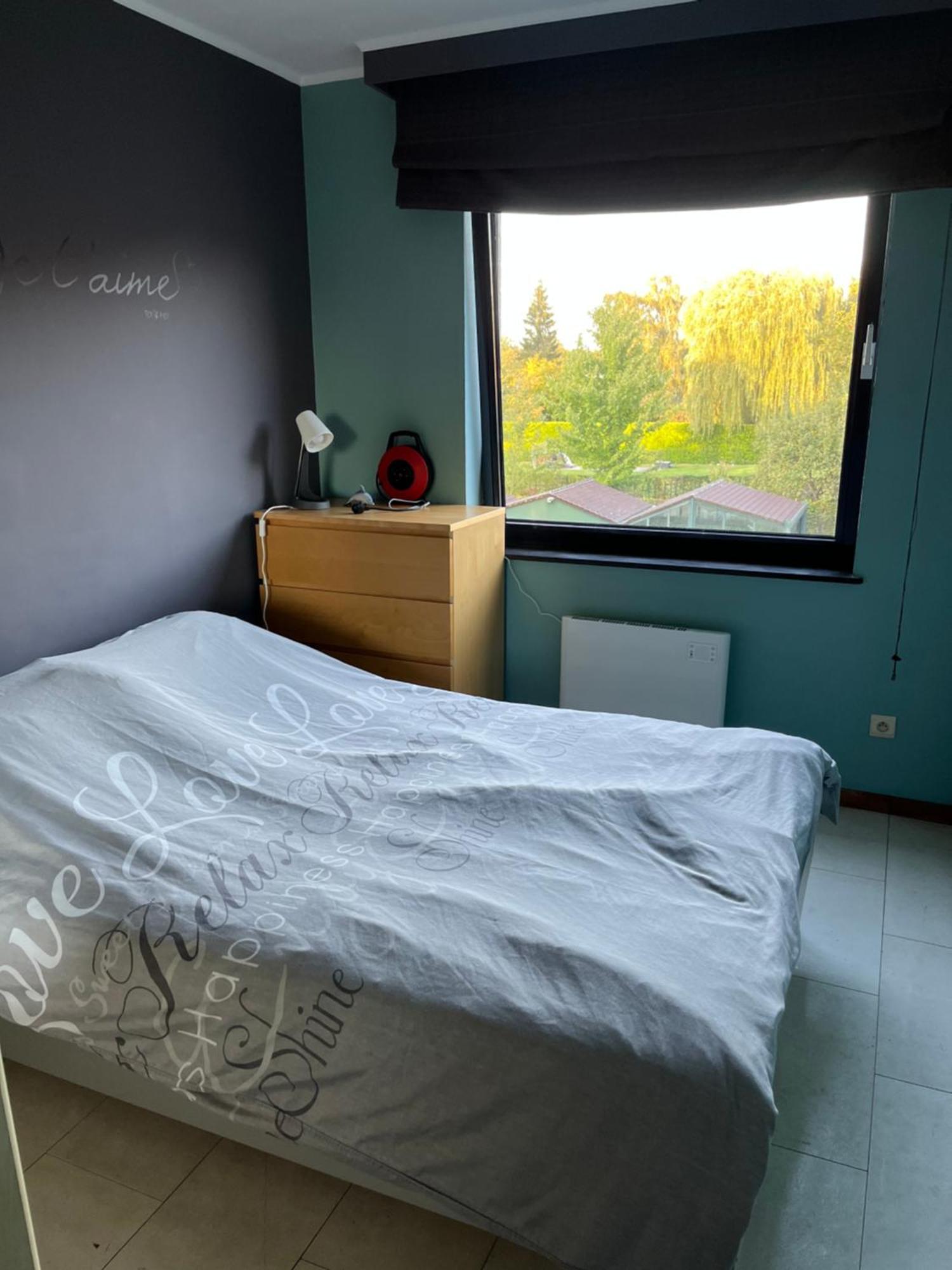 Ferienwohnung Okapi Halle  Exterior foto